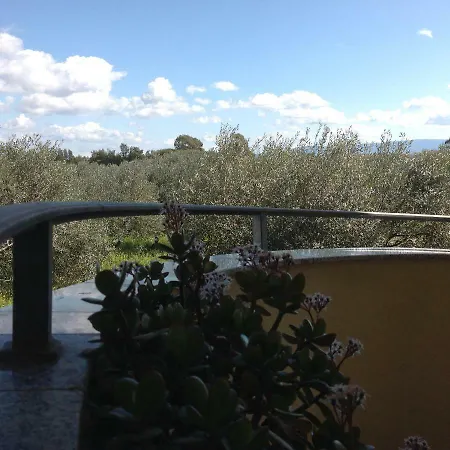 Il Cuore Degli Ulivi *