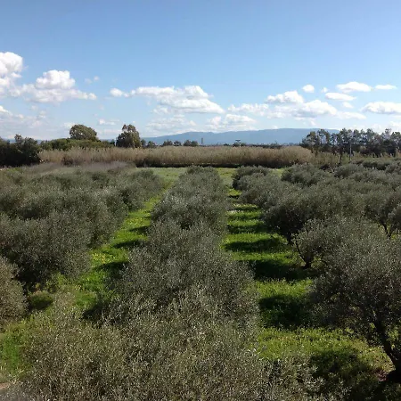 Il Cuore Degli Ulivi Διαμέρισμα