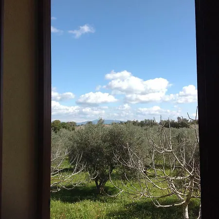 Διαμέρισμα Il Cuore Degli Ulivi Càbras
