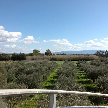 Διαμέρισμα Il Cuore Degli Ulivi